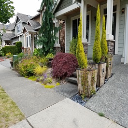 Water feature in Woodinville