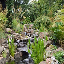 Water feature in Woodinville