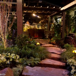 Finding Peace and Solace in the Garden