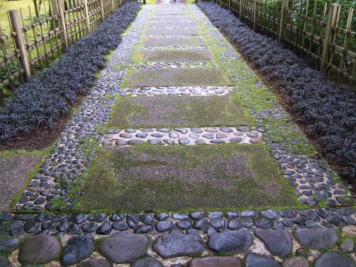 Pathway at Blodel Reserve