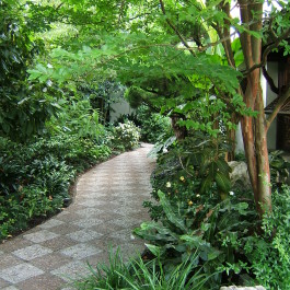 mosaic pathway in the Lan Su Chinese Garden
