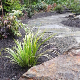 Woodland garden after (11)