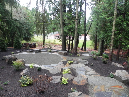Woodland garden in Shoreline