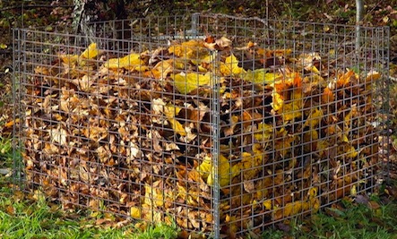 Fall leaf compost pile