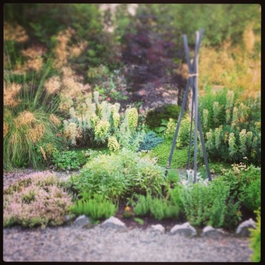Herb Garden Photo: Monicoco