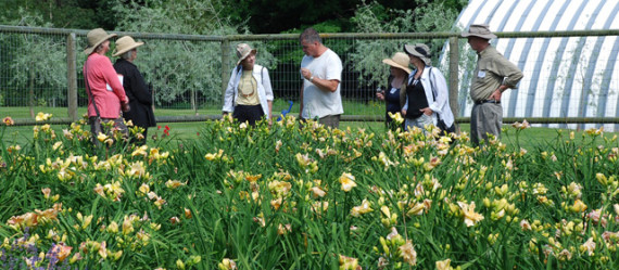Northwest Horticultural Society - touring Tom Hobbs' garden