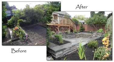 Seattle Landscape Design before and after