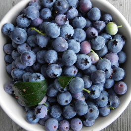 Blueberries_SublimeGardenDesign