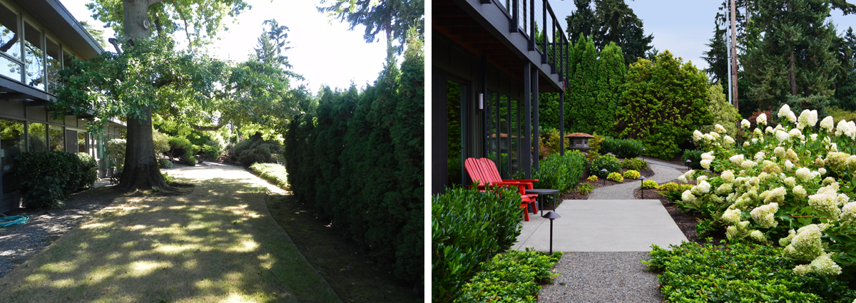 Before and After in Medina Washington by Sublime Garden Design 425x1200 2