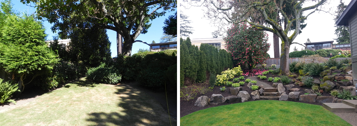 Before and After in Medina Washington by Sublime Garden Design 425x1200 4