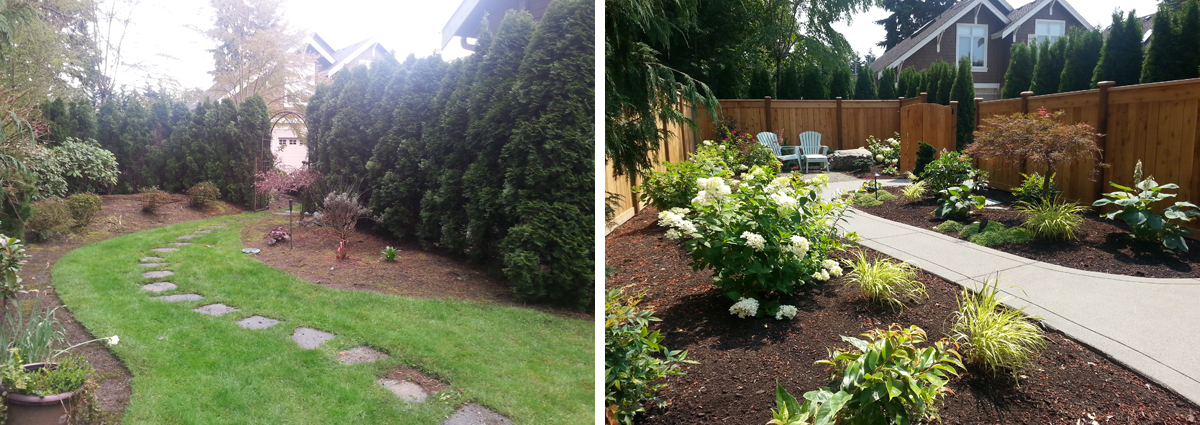 Before and After on Mercer Island Washington by Sublime Garden Design 425x1200 1