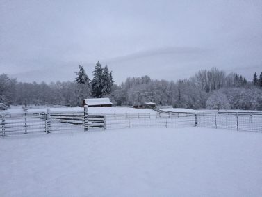 Snow on the farm
