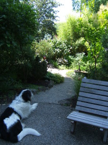 Crushed stone pathway