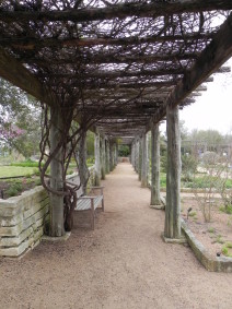 Gravel pathway at Lady Bird Johnson Wildflower Center