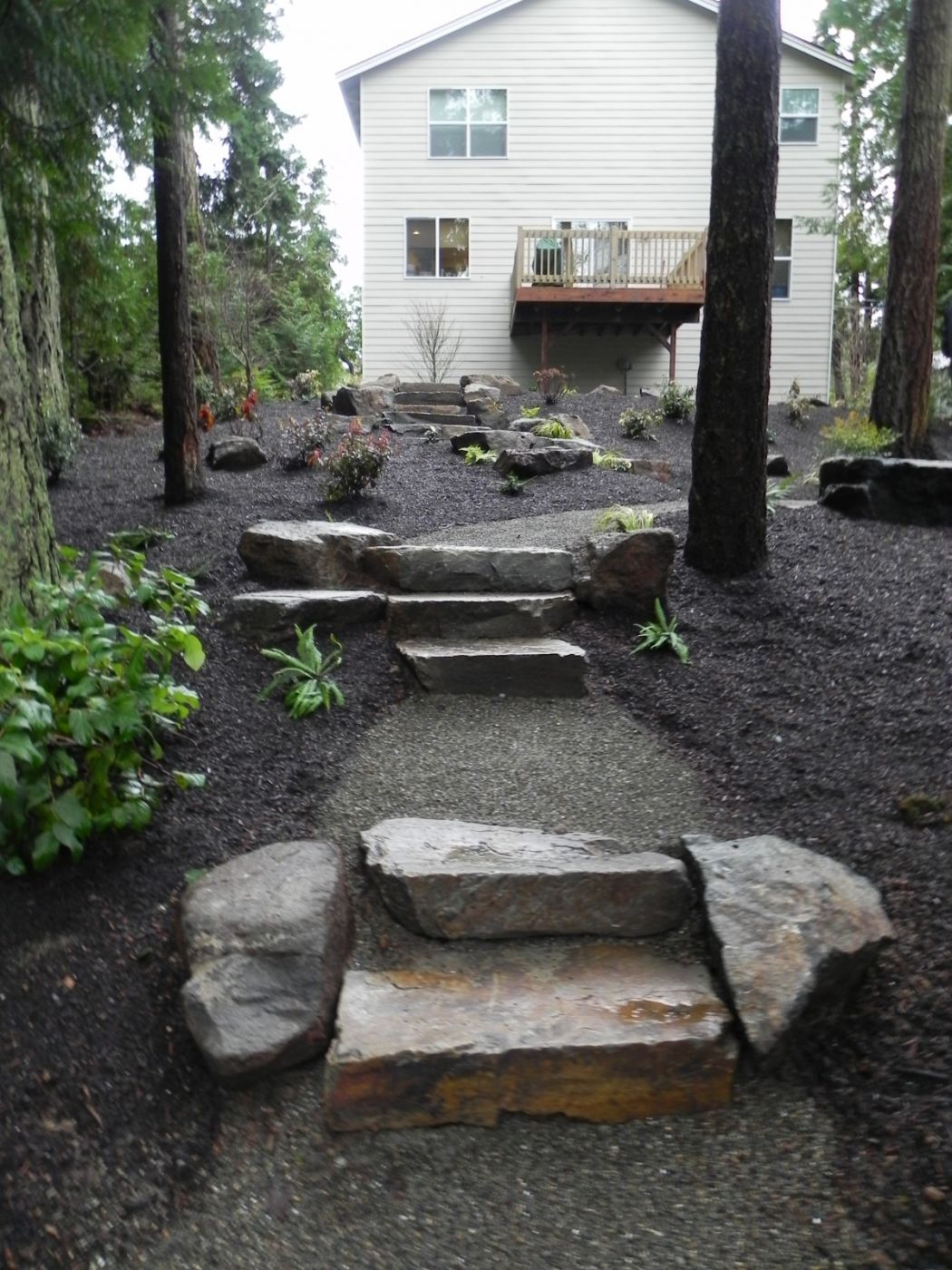 Woodland garden after 7 — Sublime Garden Design  Landscape Design  Landscape Architecture 