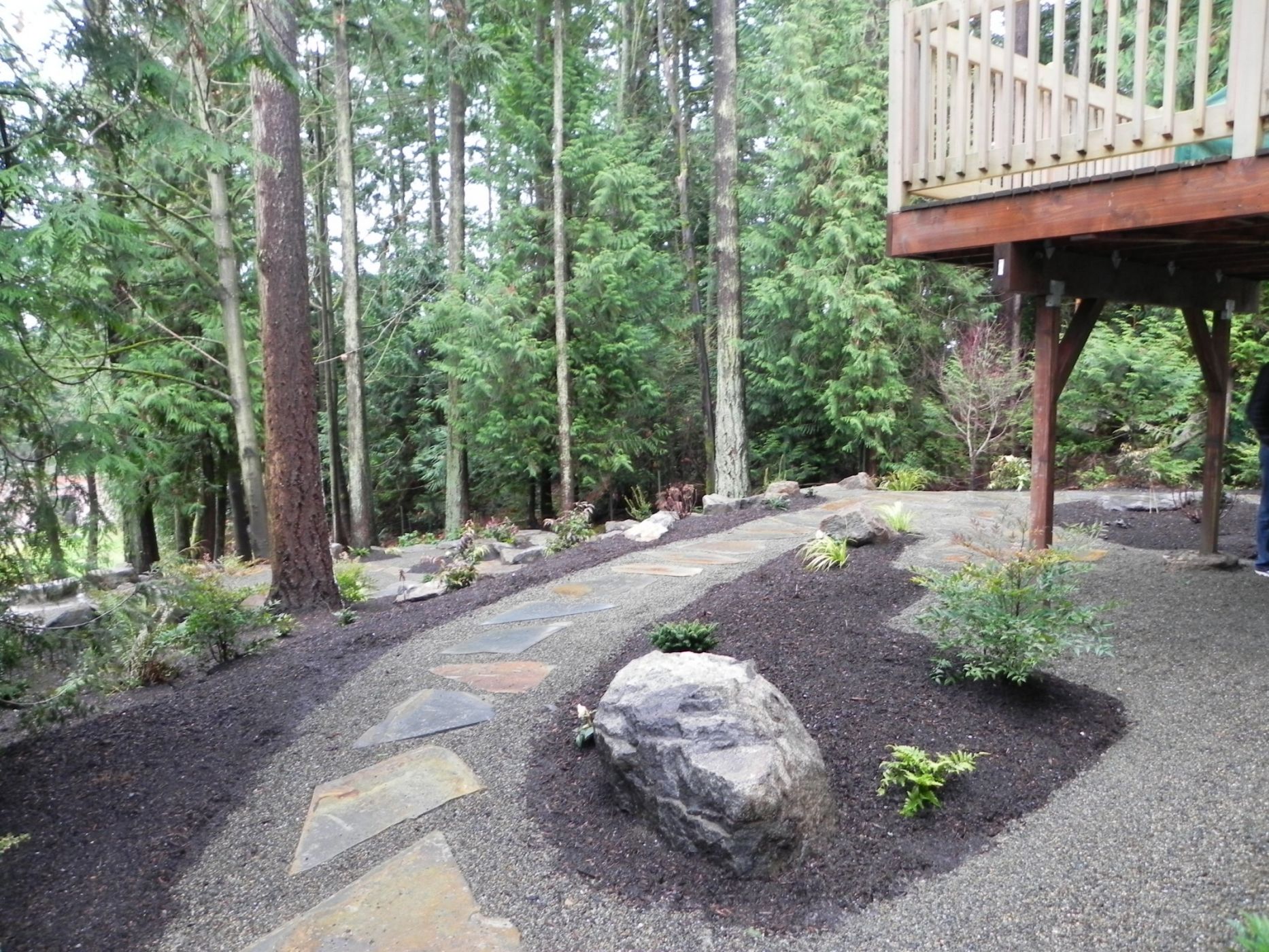 Woodland garden after (9) — Sublime Garden Design | Landscape Design & Landscape Architecture ... on Woodland Landscape Design
 id=88608