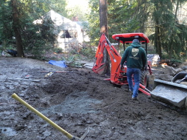 Woodland garden during construction