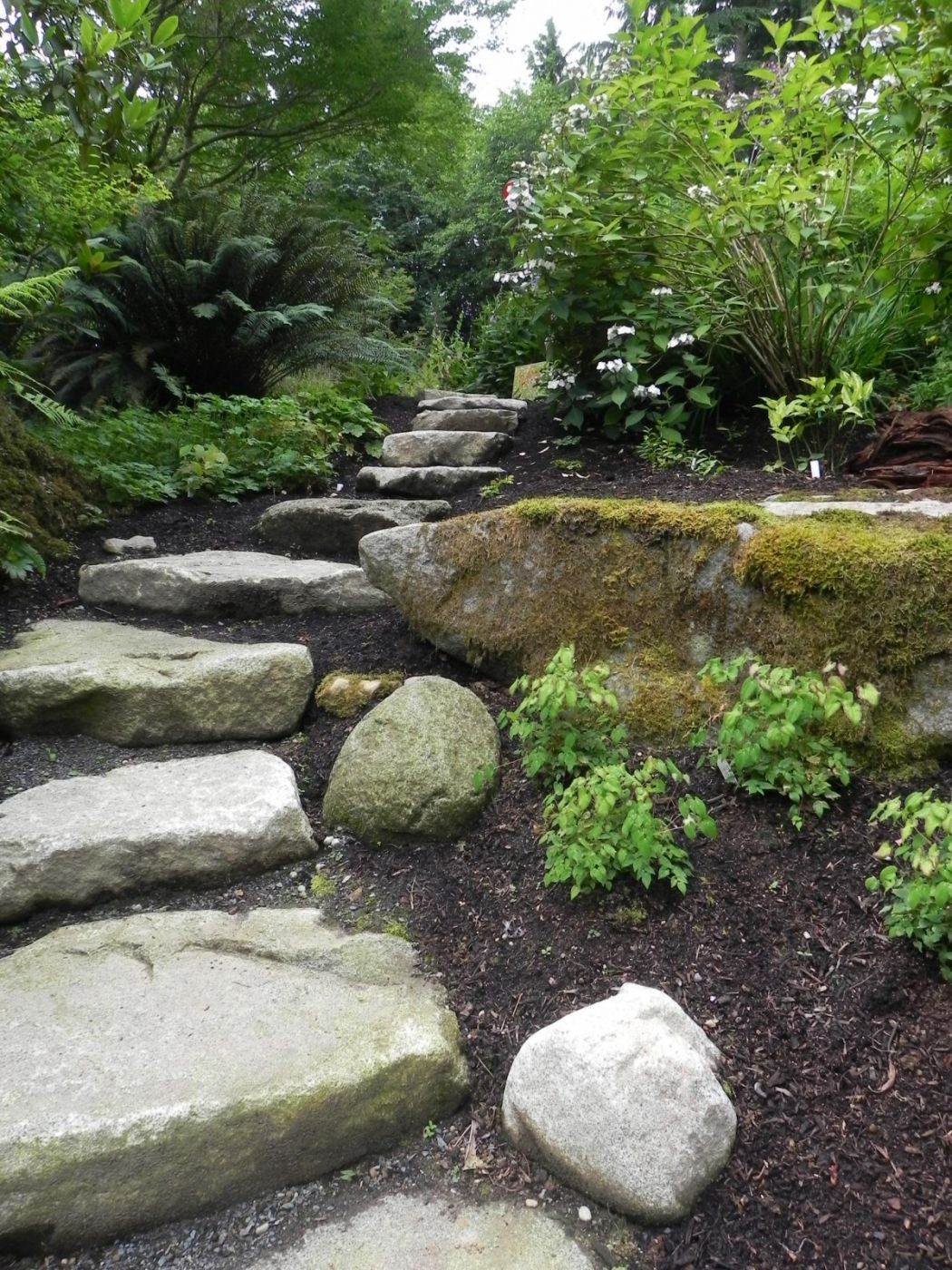 Natural Stone Steps 