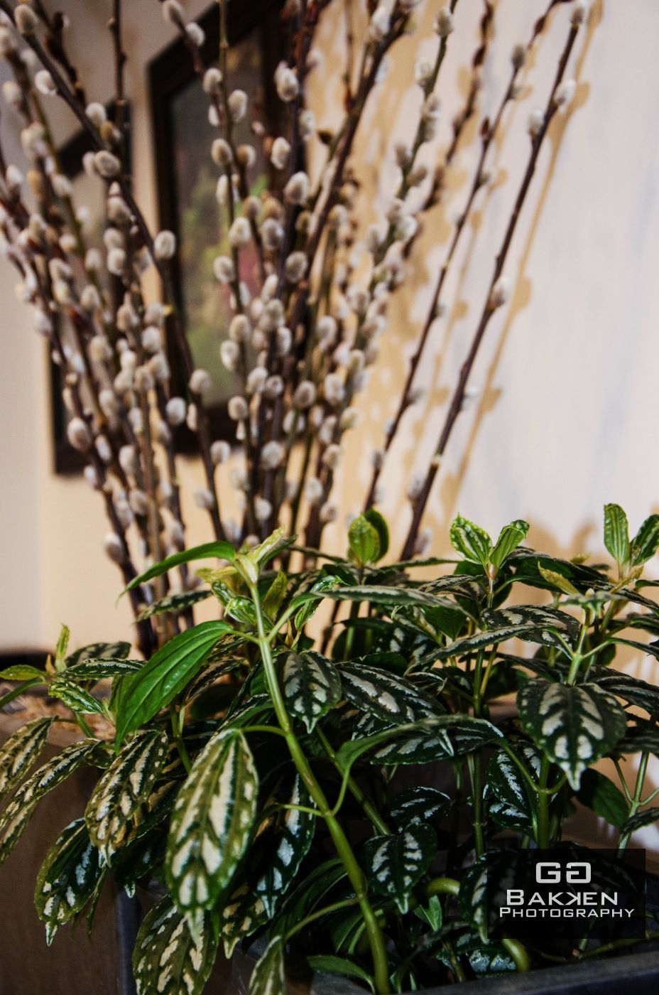 Sublime Garden Design studio (9) — Sublime Garden Design | Landscape