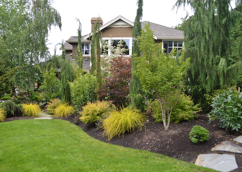 Issaquah Landscaping For Privacy After Sublime Garden Design Landscape Design Serving 8577