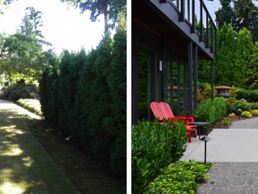 before and after on mercer island washington by sublime garden design 4251200 1 - Garden Design Before And After before and after on mercer island washington by sublime garden design 4251200 1 - Garden Design Before And After