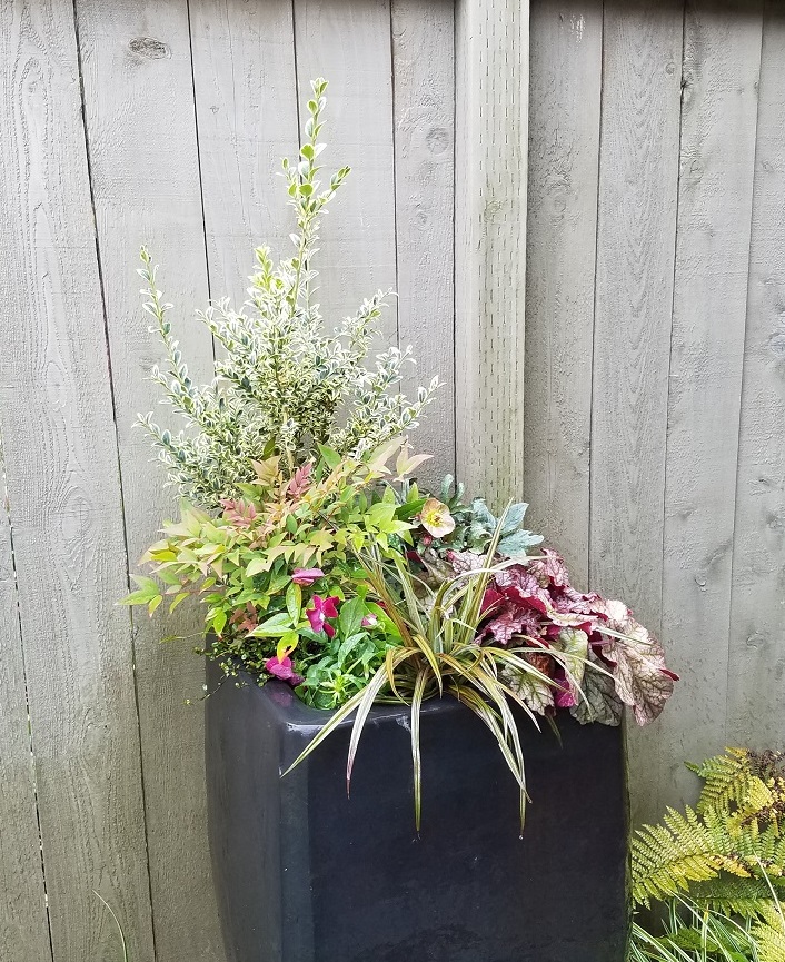 Container Garden Sublime Garden Design Landscape Design Serving