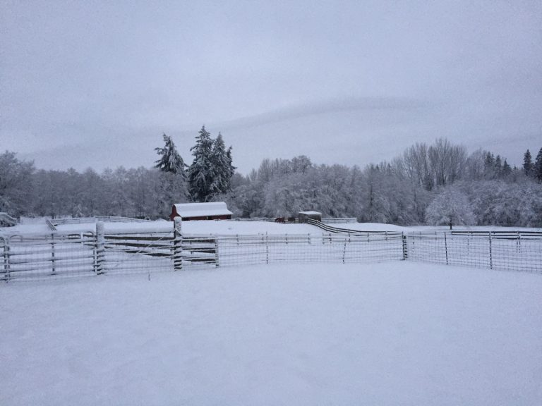 Snow on the farm Sublime Garden Design Landscape Design Serving