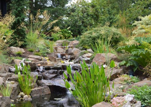 What is Your Landscape Style? | Sublime Garden Design | Landscape ...