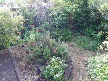 Too Many Material and Plant Choices