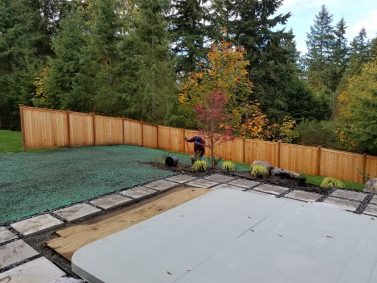 Hydroseed