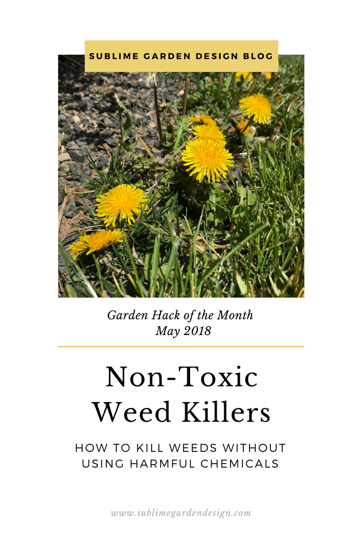 Garden Hack Of The Month How To Kill Weeds Without Using Harmful
