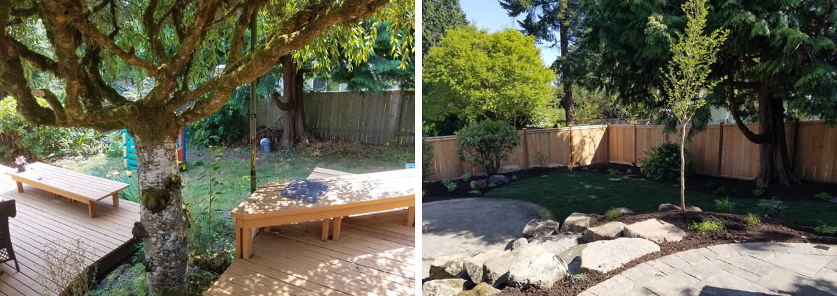 Before and After in Bellevue Washington by Sublime Garden Design