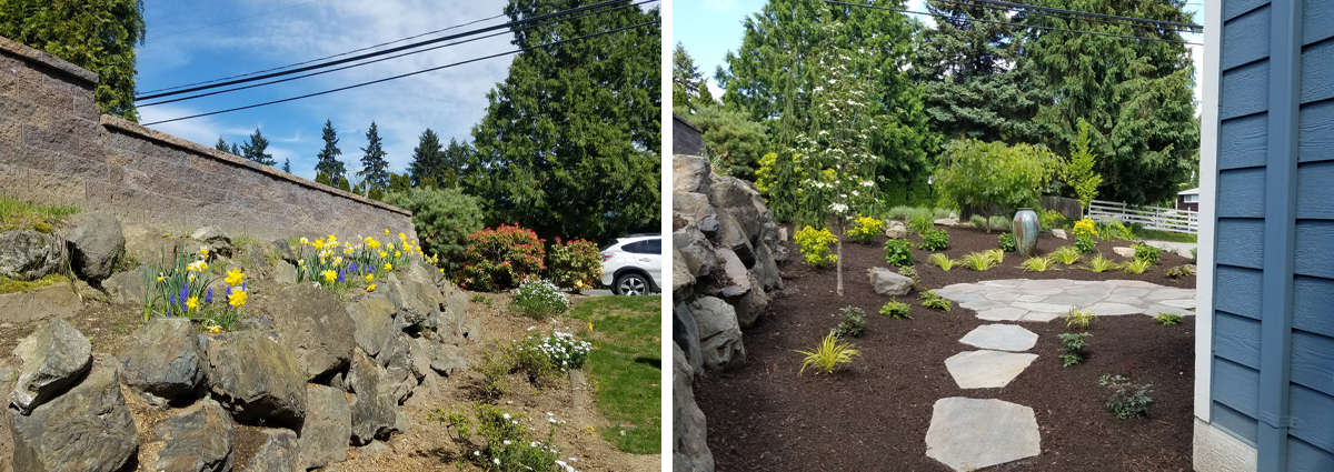 Before and After in Bothell Washington by Sublime Garden Design