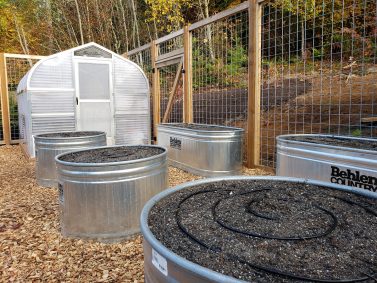 Garden Troughs and Greenhouse
