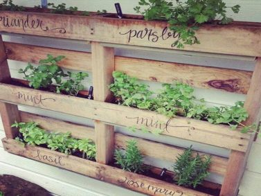 Pallet Planter Wall Photo Courtesy of Garden Lovers Club
