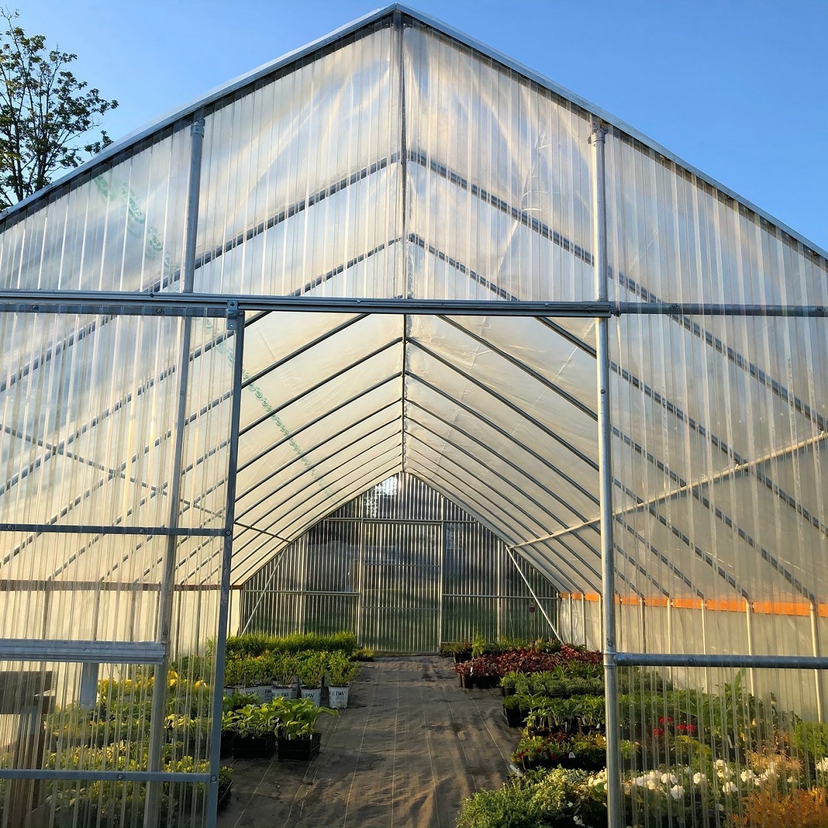 Greenhouse Nursery 1 | Sublime Garden Design | Landscape Design Serving
