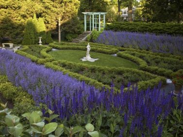 Salvia x 'May Night' (foreground) in Formal Garden Photo Courtesy of Schmechtig Landscapes